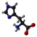 L-histidine-zwitterion-from-xtal-1993-3D-balls-B.png